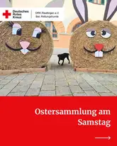 Rettungshund zwischen zwei HeuHasen