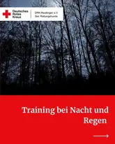 Titelbild eines Posts mit Waldansicht in der Dämmerung