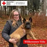 Tervuren Welpe mit Rettungshundeführer im Wald