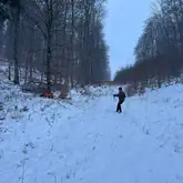 Mantrailteam trailt mitten duch den schneebedeckten Wald