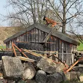 Ein Dunkelbrauner Trümmer Suchhund läuft über ein Dach einer Scheune auf einem Trümmerfeld