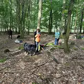Rettungshundeteams warten im Wald verteilt auf ihren Einsatz