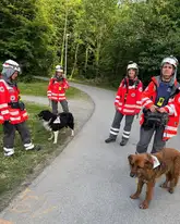 Mitglieder der Rettungshunde des DRK Reutlingen bereiten sich auf einem Weg auf ihre Vermisstensuche vor